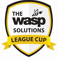 wasp-solutions
